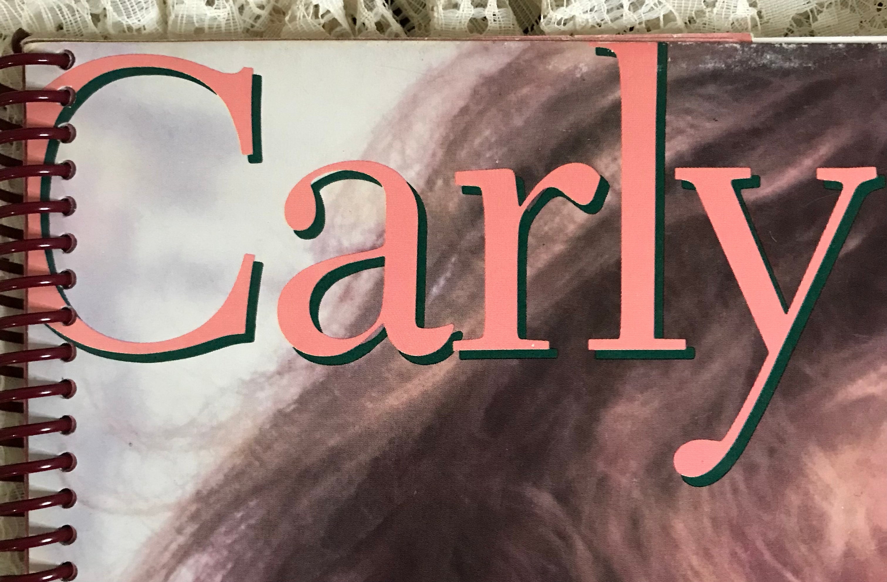 Carly Simon Album Cover Notebook