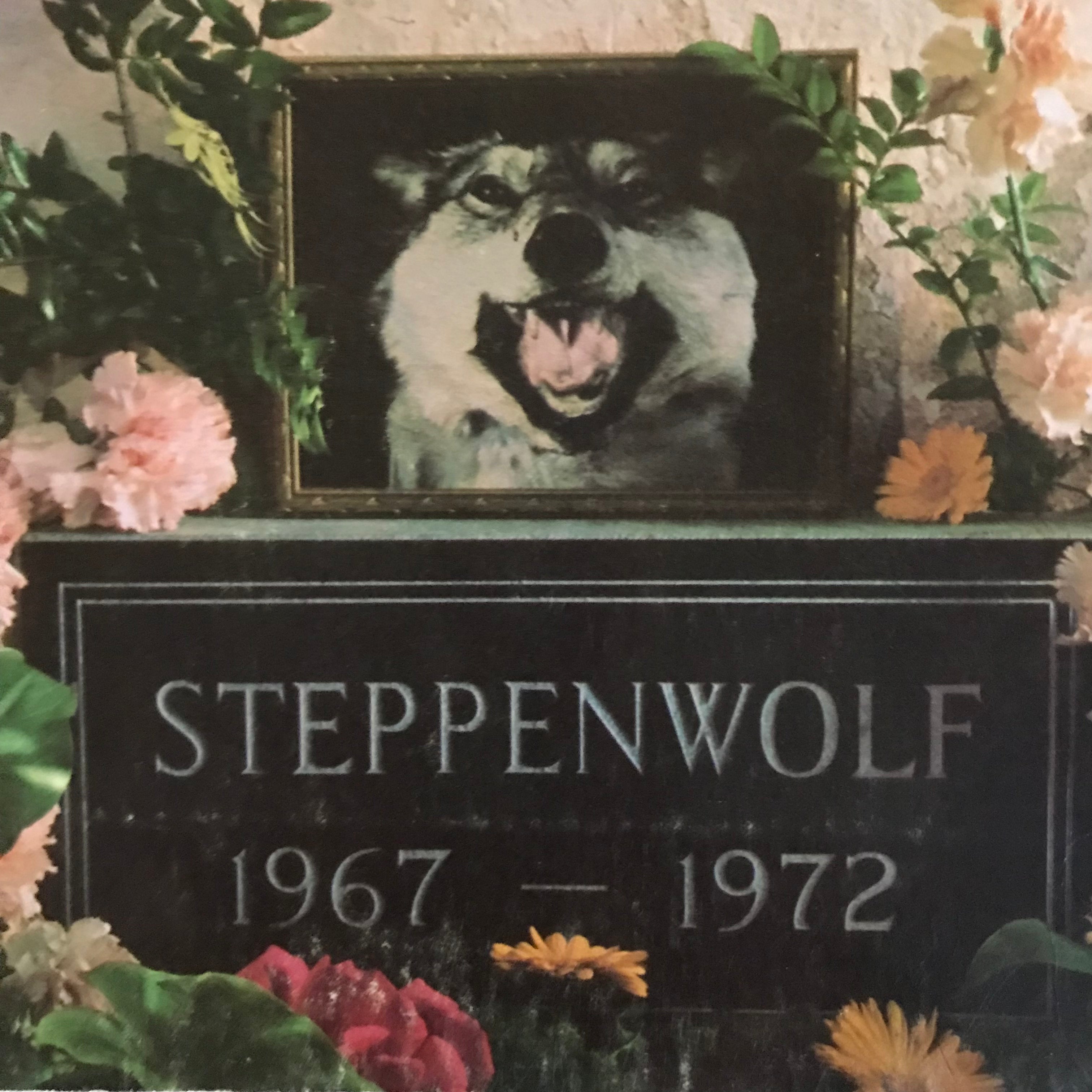 Steppenwolf  1967-1972 Album Cover Notebook