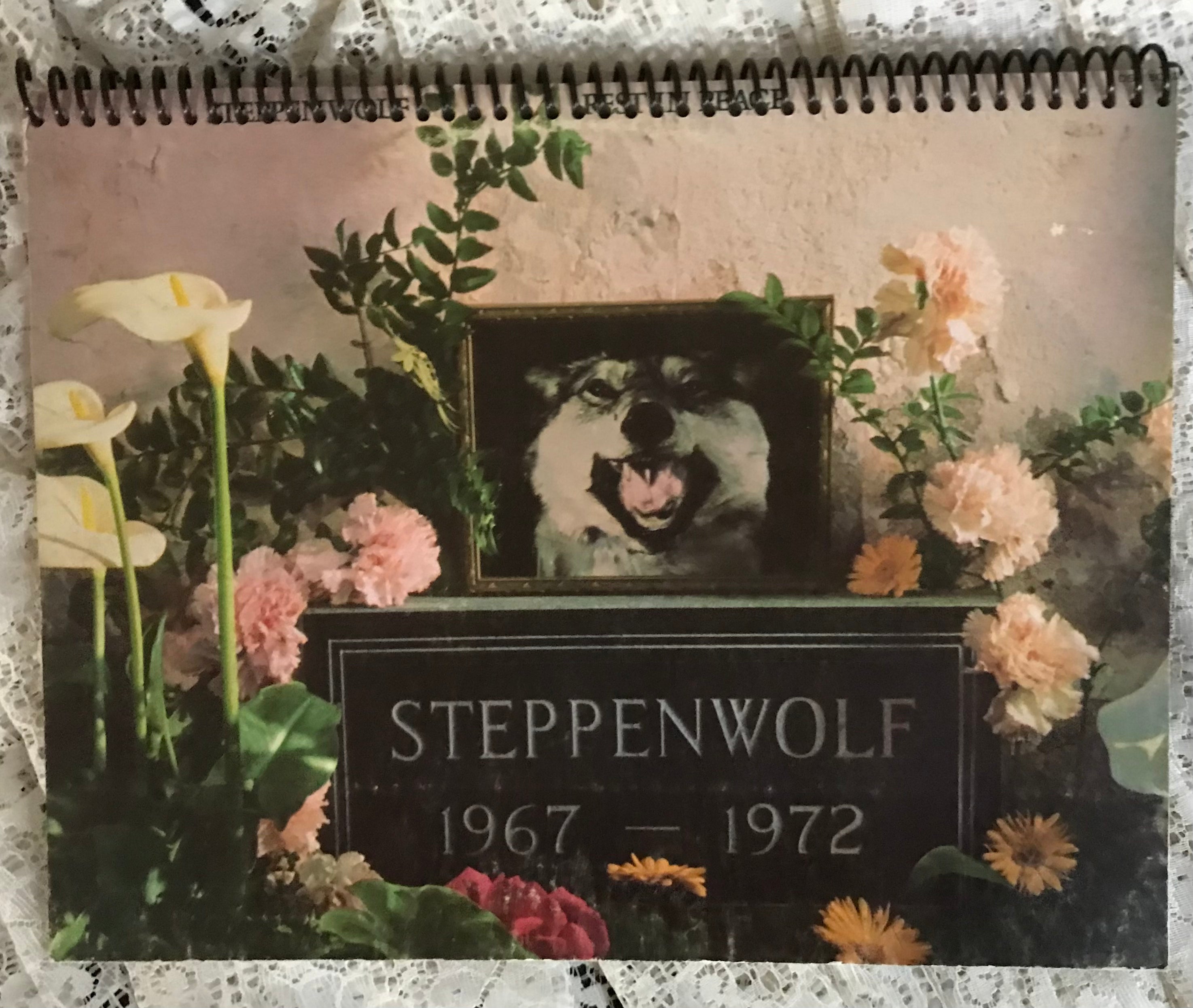 Steppenwolf  1967-1972 Album Cover Notebook